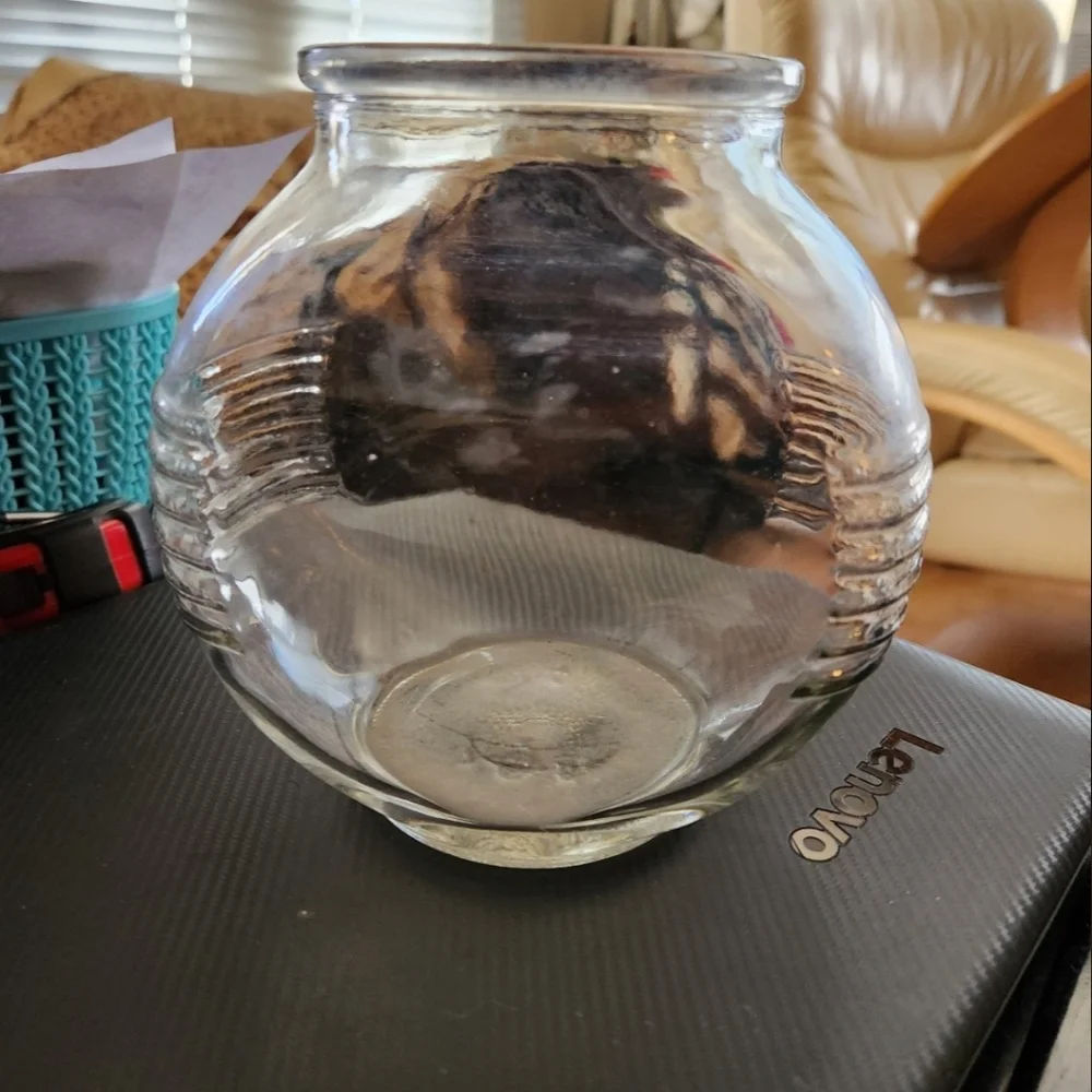 Vintage Clear Glass Vase